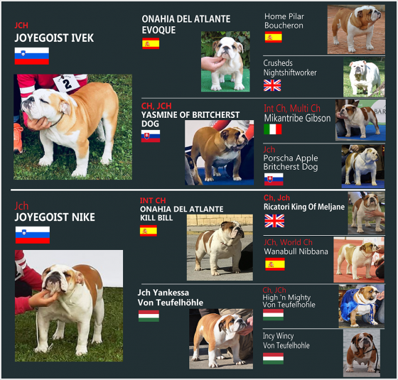 puvodvlajky.png