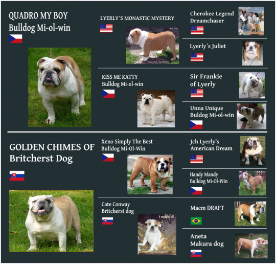 bez-nazvu---1.png