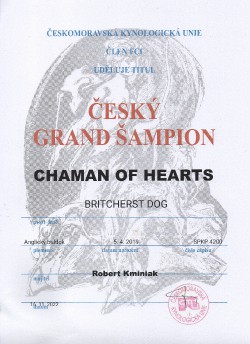 img197.jpg