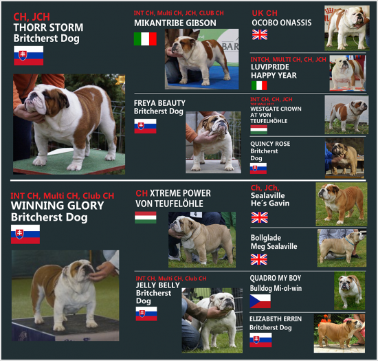 puvodvlajky22.png