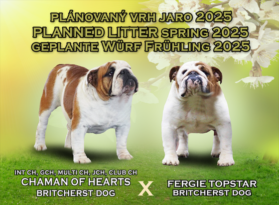 planovane-vrhy.png