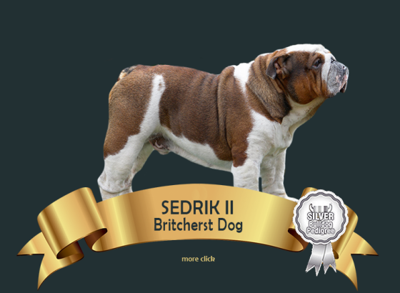 sedrik.png
