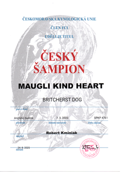 img20250824_12460412.png