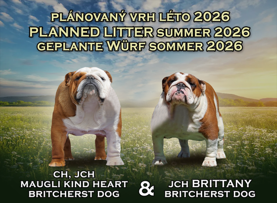 planovane-vrhy.png