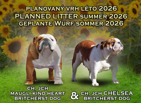 planovane-vrhy.png