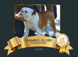 glory.png